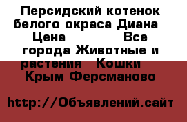 Персидский котенок белого окраса Диана › Цена ­ 40 000 - Все города Животные и растения » Кошки   . Крым,Ферсманово